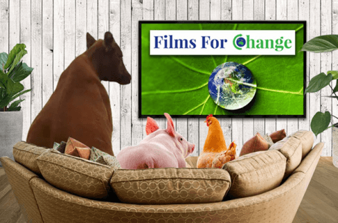 Films For Change