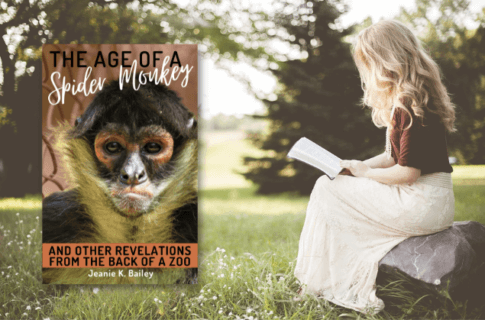 The Age of a Spider Monkey